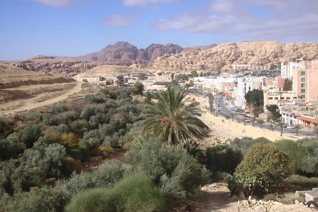 Buildings, road, palms and cultivated ground in Wadi Musa