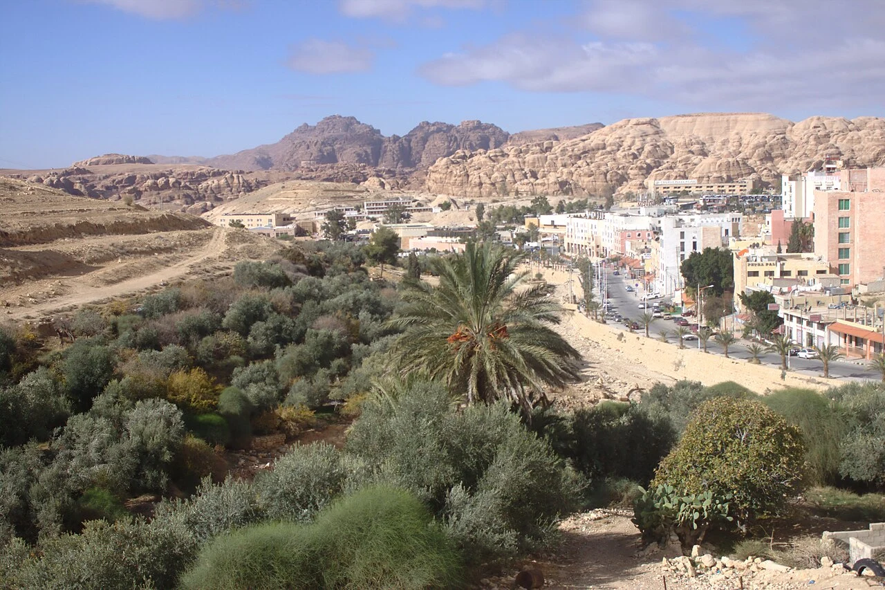 Buildings, road, palms and cultivated ground in Wadi Musa
