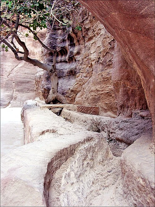 A water channel cut along the Siq with a surviving example of its stone cover
